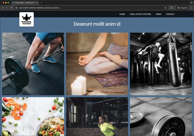Image of image gallery