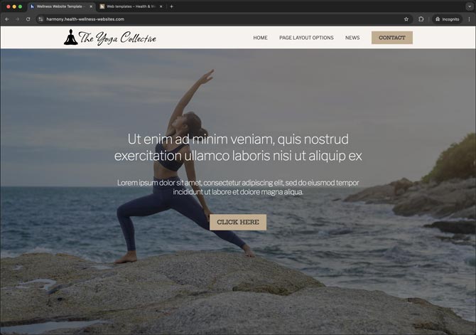 Image of full screen landing page