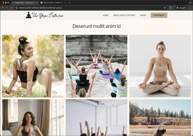 Image of image gallery