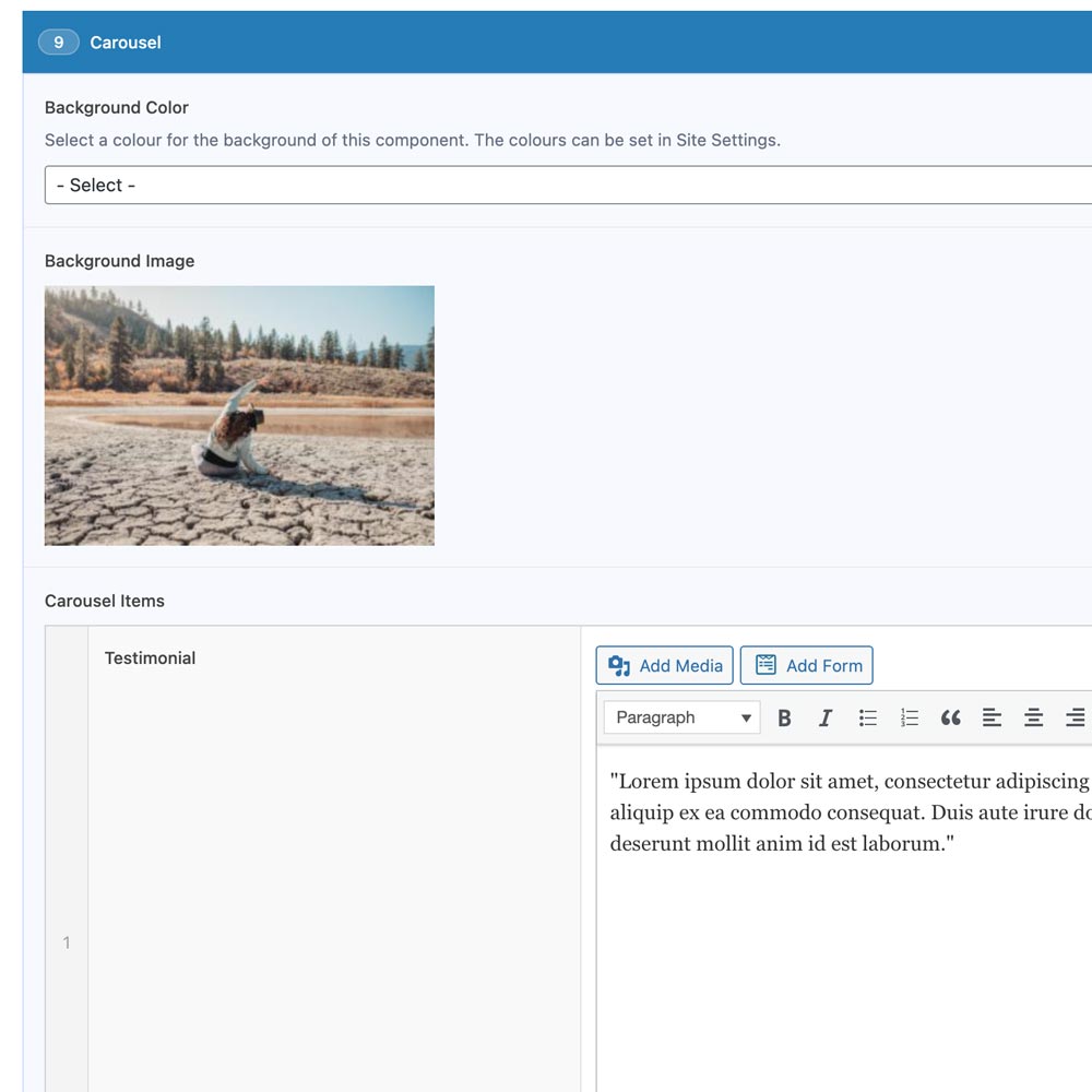 Image of the carousel component