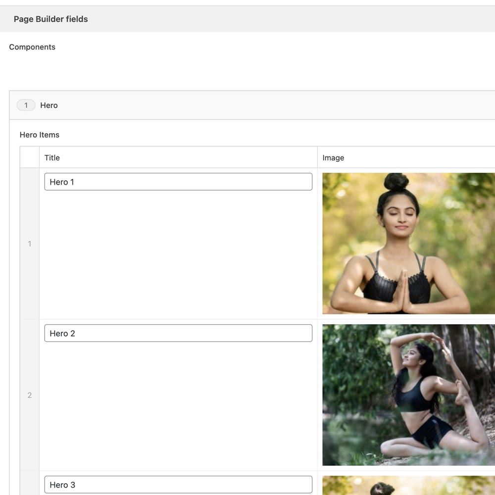 Image of the hero component