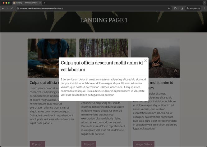 Image of cards component
