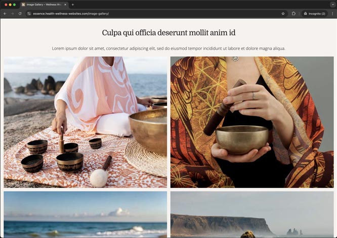 Image of image gallery